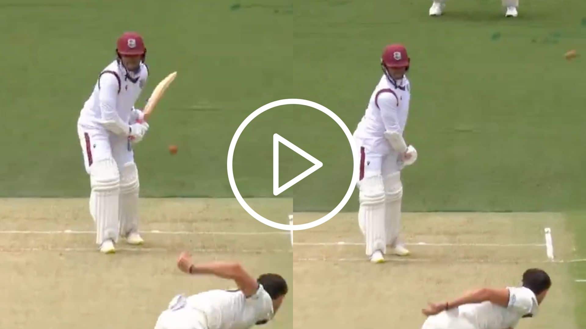 [Watch] Tagenarine Chanderpaul Back Edges Mitchell Starc For A Four